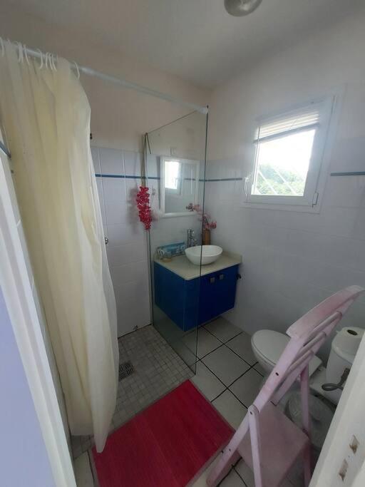 Grand Studio En Bas De Villa Avec Vue Sur Mer Au Carbet Le Carbet Zewnętrze zdjęcie