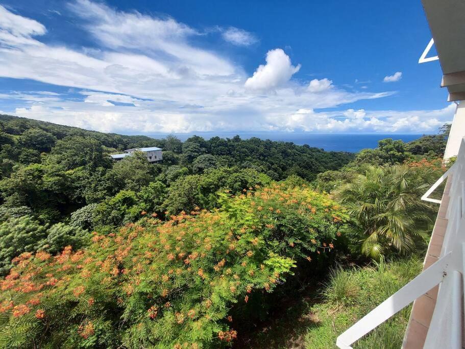 Grand Studio En Bas De Villa Avec Vue Sur Mer Au Carbet Le Carbet Zewnętrze zdjęcie